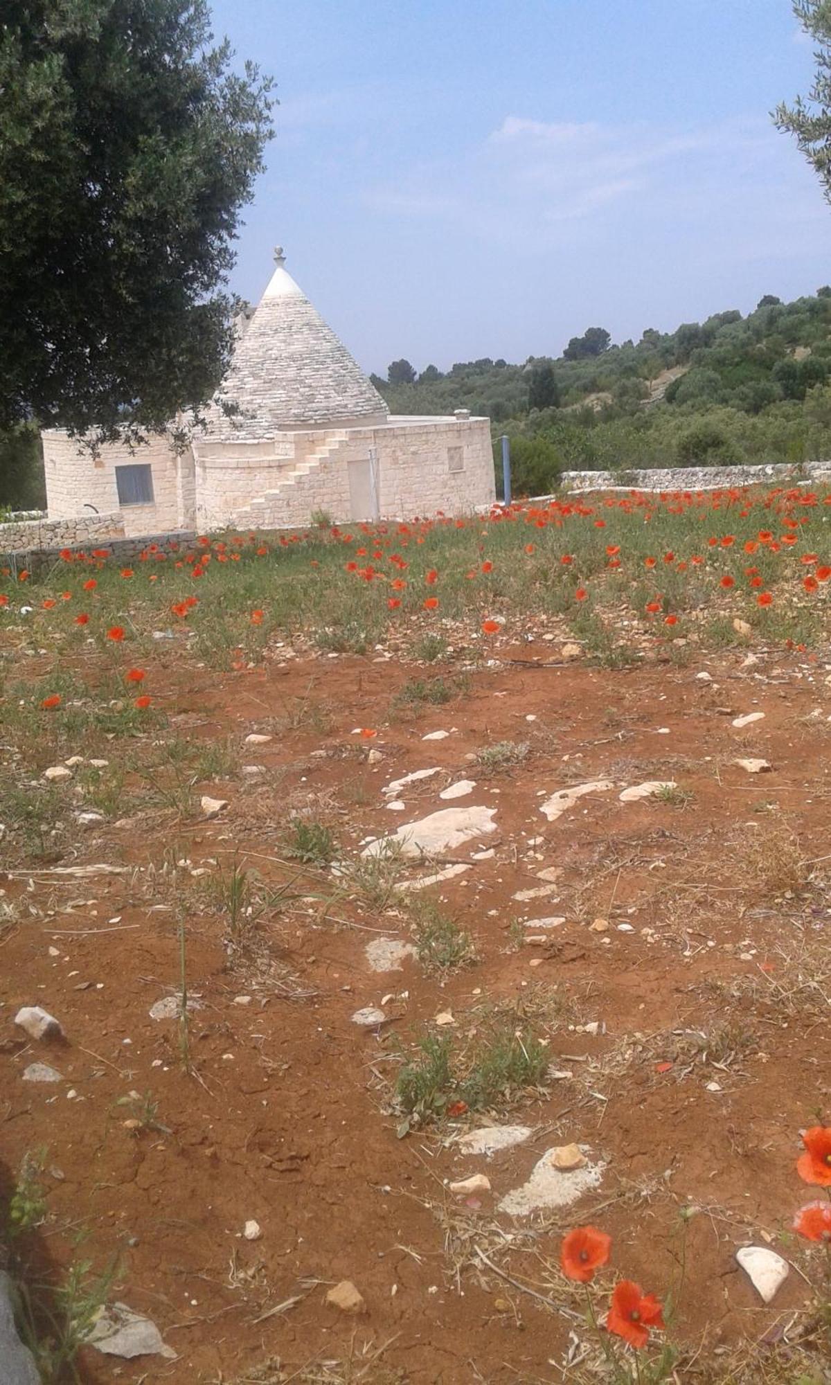 Trullo Alto Salento Villa Cisternino Kültér fotó